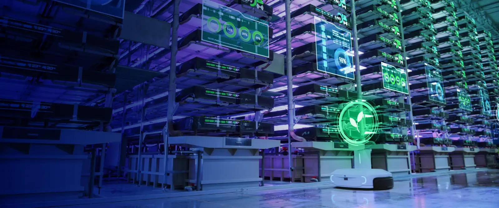 Centrum danych — infrastruktura IT wdrażana przez PLC Software